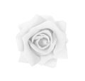 Single white or gray rose flowers isolated on background , clipping path top view Royalty Free Stock Photo