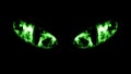 Close-up of Sinister Black Cat Eyes