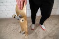 Close up of skateboarder standing next to a white brick wall. Athletic teenager wearing jeans with a skateboard. Urban style,