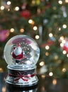 Ice Skating Santa in a Snow Globe with Tree in Background
