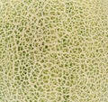 Close-up Skin of cantaloupe melon Royalty Free Stock Photo