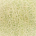 Close-up Skin of cantaloupe melon Royalty Free Stock Photo