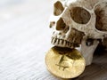 Close up of Skull biting Golden bitcoin on wooden table. The concept of investment and Fluctuation of bitcoin and cryptocurrency. Royalty Free Stock Photo