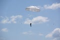 Close-up of a skydiver on a white parachute, birds flying nearby