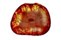 Close up of a Slice Agate Gemstone on white background Royalty Free Stock Photo