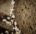 Close up of a slice of brown bread Royalty Free Stock Photo