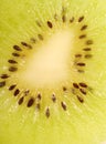 Close up of a slice of kiwi Royalty Free Stock Photo