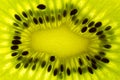 Close-up of a slice of kiwi fruit