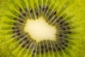 Close up of a slice of kiwi fruit Royalty Free Stock Photo