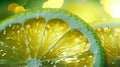 A close up of a slice of lemon