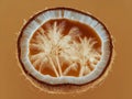Close-up of sliced coconut shell, showcasing a pattern resembling palm leaves Coconut is coconut colored beigebrown Soft lighting Royalty Free Stock Photo