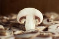 Close up sliced piece of champignon mushroom Royalty Free Stock Photo