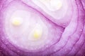 Close up the sliced red onion texture as abstract background Royalty Free Stock Photo