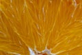 Close up of sliced ripe orange, macro. Yellow fresh orange surface background or texture Royalty Free Stock Photo