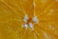 Close up of sliced ripe orange, macro. Yellow fresh orange surface background or texture Royalty Free Stock Photo