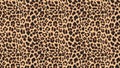 Close up, slow motion of moving leopard hair. Seamless loopable animationof beautiful exotic animal pattern. Abstract