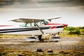 Close up of a small airplane with a sheep in front on a remote airport in Iceland Royalty Free Stock Photo