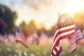 A close-up of a small American flag amidst a field of flags, illuminated by sunlight Royalty Free Stock Photo