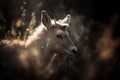 a close up of a small animal in a field of grass and weeds with a blurry background of grass and weeds, with a blurry image of a