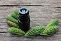 Small bottles of coniferous essential oil and green spruce tips on wooden background with copy space. Royalty Free Stock Photo