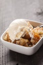 Close up of small bowl of freshly served peach crisp