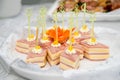 Close up of small canapes arranged on a plate over light background Royalty Free Stock Photo