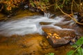 Close up of small cascade in Carson Creek in NC