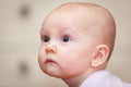 Close-up of a small child who cries but does not Royalty Free Stock Photo