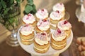 Close up of small desserts on a vintage plate Royalty Free Stock Photo