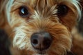 Close Up of a Small Dogs Face. Generative AI