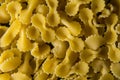 Close up of small durum wheat pasta butterflies and surprises.