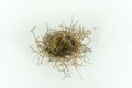 Close up of a small empty birdÃÂ´s nest isolated on white. Royalty Free Stock Photo