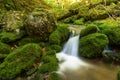 Close up of a small forest stream near Third Vault Falls Royalty Free Stock Photo