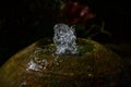 Close up of a small fountain of water in motion from a round stone against a dark background. Royalty Free Stock Photo