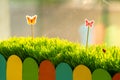 Close up of small green grass with special cute toys small butterflies. Concept of beautiful plants with decoration