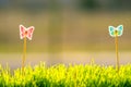 Close up of small green grass with special cute toys small butterflies. Concept of beautiful plants with decoration