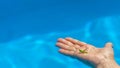 Closeup of small green grasshopper or grig seats on middle aged woman's hand in the pool on blue water blurred background