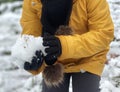 Close-up of small hands holding a handful of snow