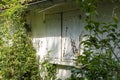 Close-up on a small house, whose plants colonize the wall, in the center, a light wooden shutter, closed Royalty Free Stock Photo