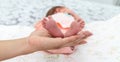 Close-up of the small legs of a newborn baby in the hands of a woman or mother. Moments with a child Royalty Free Stock Photo