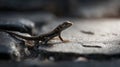 Close-Up of a Small Lizard on a Textured Rock Surface in Nature Royalty Free Stock Photo