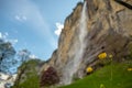 Close up small lovely yellow flowers on blurred big waterfall with blue sky background Royalty Free Stock Photo