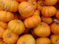 Close up of small organic pumpkins at a farmers market Royalty Free Stock Photo