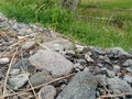 close-up of a small pile of gravel by the river Royalty Free Stock Photo