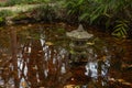 Small Decorative water temple in a pond