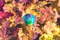 Close up of a small toy globe Earth rotation over colorful autumn maple leaves in the forest. Concept. Selective focus. Royalty Free Stock Photo