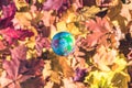 Close up of a small toy globe Earth rotation over colorful autumn maple leaves in the forest. Concept. Selective focus. Royalty Free Stock Photo