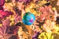 Close up of a small toy globe Earth rotation over colorful autumn maple leaves in the forest. Concept. Selective focus.