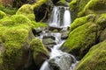 Close up of small waterfall and mossy rocks. Royalty Free Stock Photo