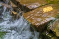 Close-up of small waterfall running over rocks with autumn leaves